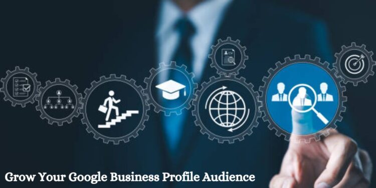 Grow Google Business Profile Audience